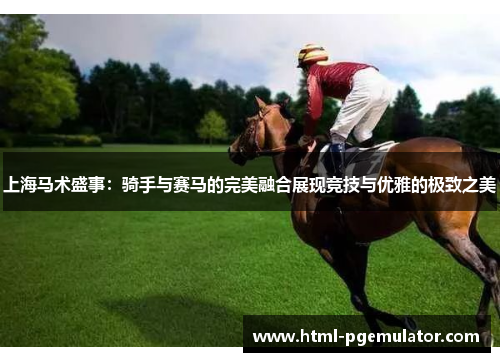 上海马术盛事：骑手与赛马的完美融合展现竞技与优雅的极致之美