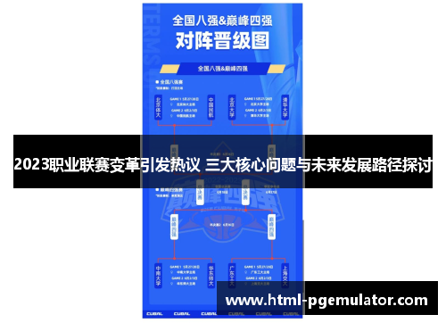 2023职业联赛变革引发热议 三大核心问题与未来发展路径探讨