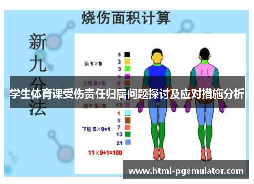 学生体育课受伤责任归属问题探讨及应对措施分析