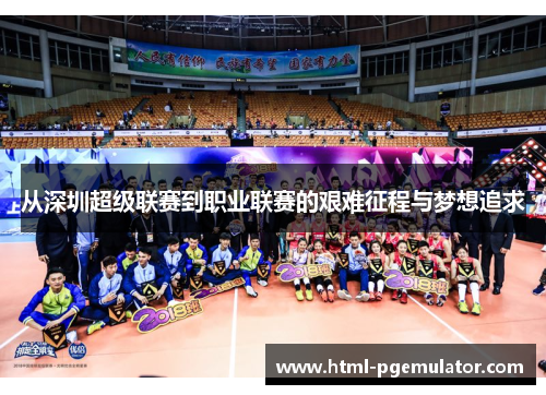 从深圳超级联赛到职业联赛的艰难征程与梦想追求