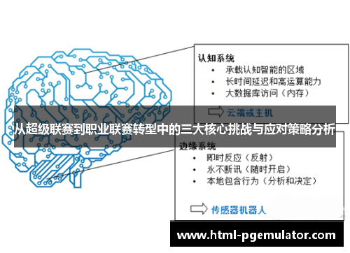 从超级联赛到职业联赛转型中的三大核心挑战与应对策略分析