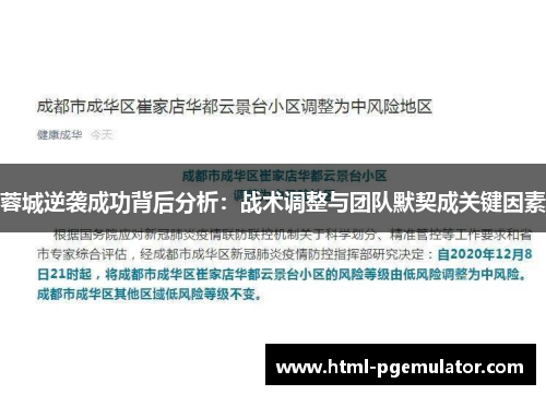 蓉城逆袭成功背后分析：战术调整与团队默契成关键因素