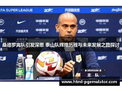 桑德罗离队引发深思 泰山队辉煌历程与未来发展之路探讨