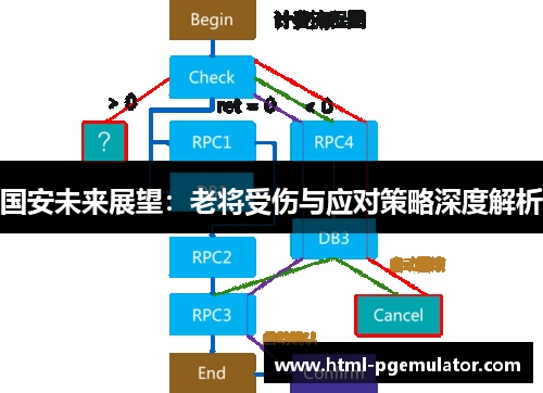 国安未来展望：老将受伤与应对策略深度解析