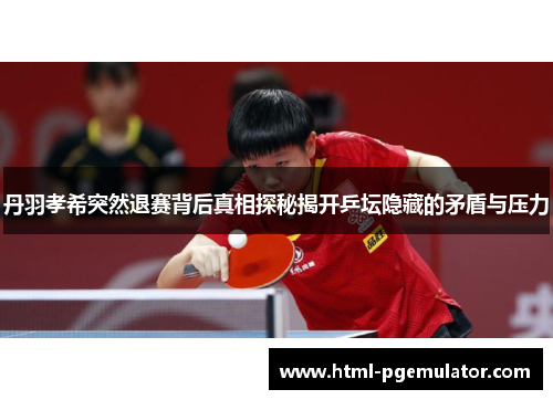 丹羽孝希突然退赛背后真相探秘揭开乒坛隐藏的矛盾与压力