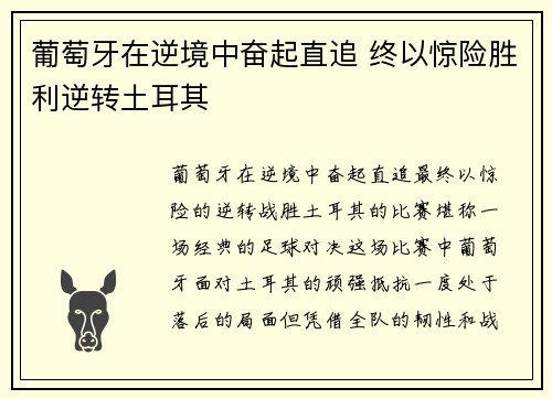 葡萄牙在逆境中奋起直追 终以惊险胜利逆转土耳其