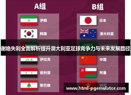 谢绝失利全面解析提升澳大利亚足球竞争力与未来发展路径 谢绝失利全面解析提升澳大利亚足球竞争力与未来发展路径