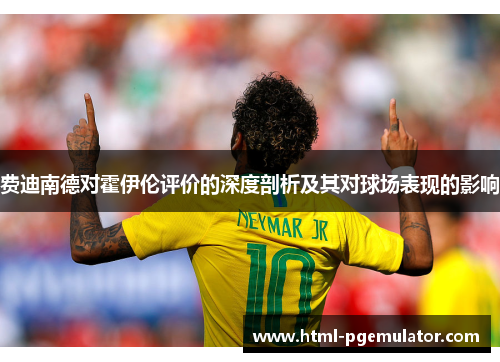 费迪南德对霍伊伦评价的深度剖析及其对球场表现的影响