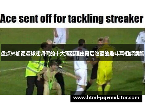 盘点林加德遭球迷调侃的十大荒诞理由背后隐藏的趣味真相解读篇