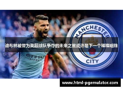 迪布林被誉为英超球队争夺的未来之星或许是下一个璀璨明珠 迪布林被誉为英超球队争夺的未来之星或许是下一个璀璨明珠