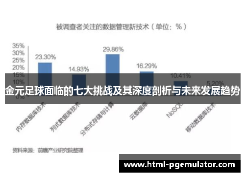 金元足球面临的七大挑战及其深度剖析与未来发展趋势