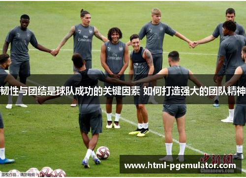 韧性与团结是球队成功的关键因素 如何打造强大的团队精神