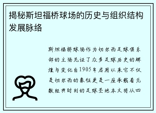 揭秘斯坦福桥球场的历史与组织结构发展脉络